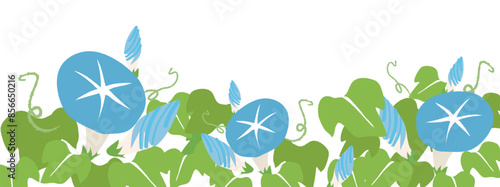 水色の朝顔の花の背景イラスト素材