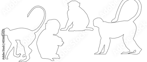 hand drawing of monkey 