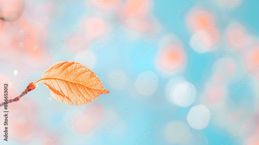 autumn leave in bluer background autumn leave in bluer background