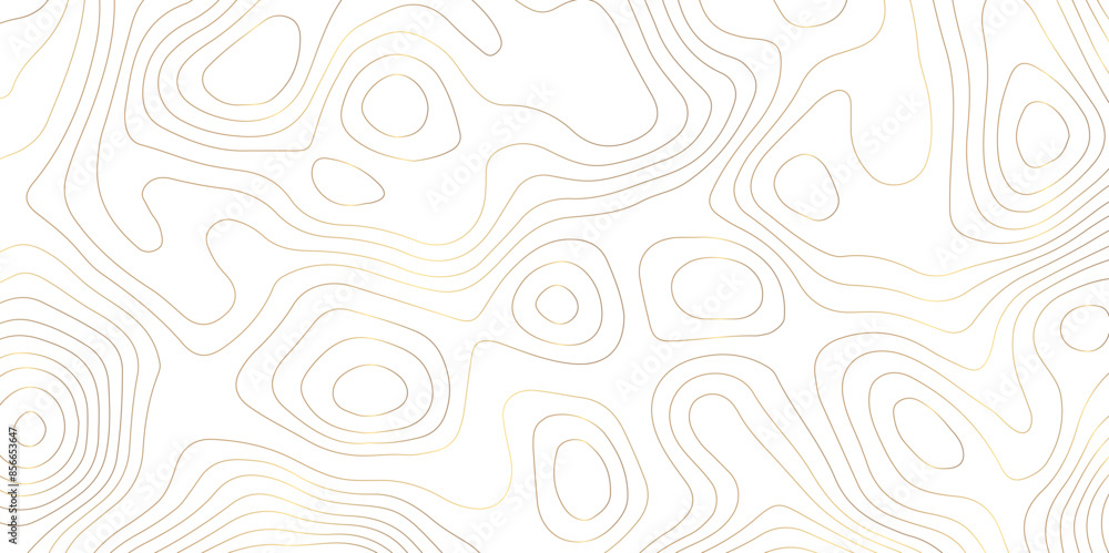Abstract topography geography contour map and curve reliefs background .elevation contouring white paper and golden lines background .geographic mountain contour map grid vector background design . Abstract topography geography contour map and curve reliefs background .elevation contouring white paper and golden lines background .geographic mountain contour map grid vector background design .