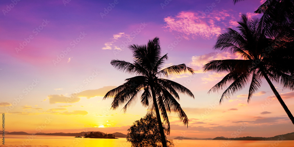 Banner Summer with colorful theme as palm trees in the horizon of ocean background Banner Summer with colorful theme as palm trees in the horizon of ocean background