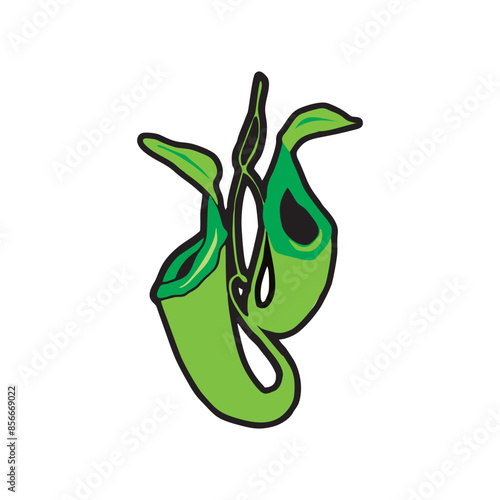 Make a Professional Nepenthes Rajah vectors photo