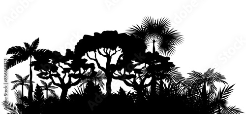Jungle landscape. Vector background with silhouette of rainforest. Horizontal black panoramic border with palms, trees and bushes.