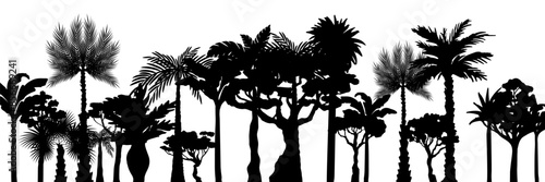 Jungle landscape. Vector background with silhouette of rainforest. Horizontal black panoramic border with palms, trees and bushes.