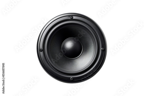 High-quality black speaker cone, isolated on a white background. Perfect for audio equipment, electronics, and technology themes.