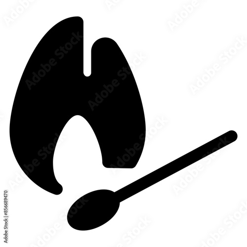 matches glyph icon vector illustration  isolated on white background