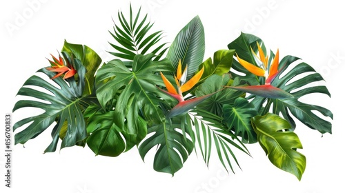 Tropical Leaves and Bird of Paradise Flowers Arrangement