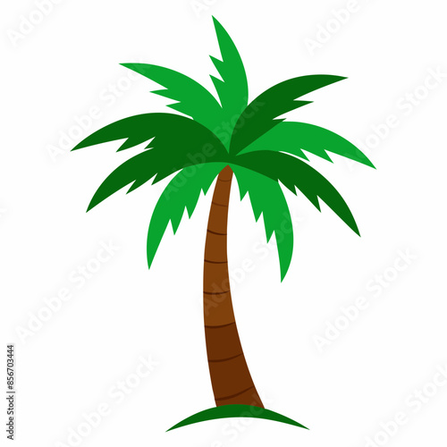 Palm Tree vector illustration