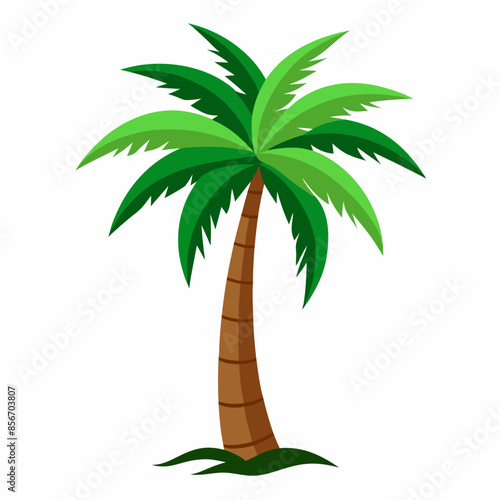 Palm Tree vector illustration