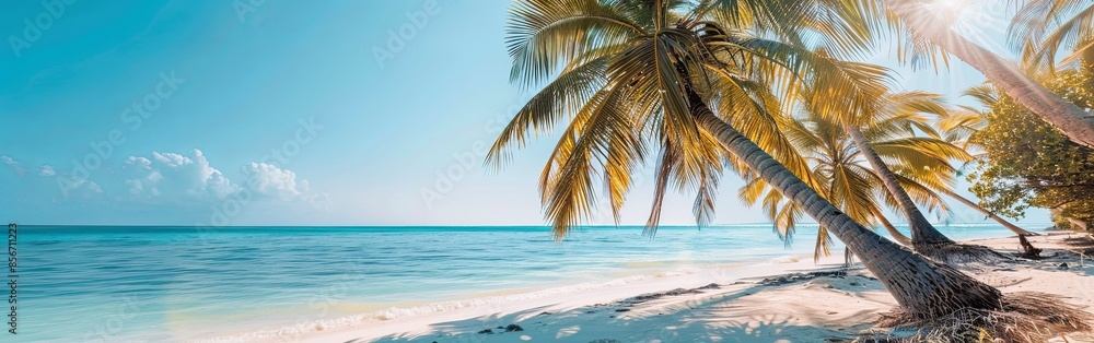 Fototapeta premium Vibrant Tropical Beach Panorama
