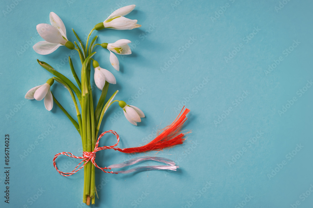 Snowdrops Bouquet With Flower Stems