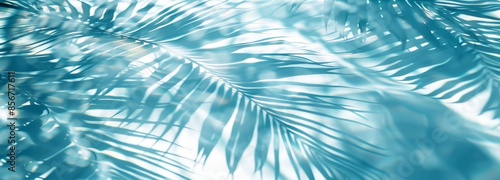 Close-up shadows of palm fronds on the water, blurred backgrounds and banners containing areas of replicated space. Soft blue style for summer concept.