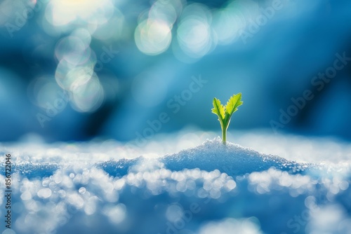 A young green sprout emerging from the snow, symbolizing hope and resilience, ideal for nature and inspirational themes.