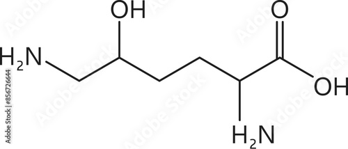Hydroxylysine amino acid chemical molecules, essential chain structure, includes a lysine backbone with an additional hydroxyl group, contributing to collagen stability. Vector structural model