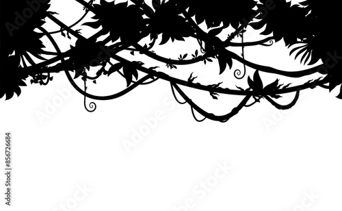 Tropical jungle forest lianas silhouette background frame, Amazon nature thicket black shadow. Vector rainforest leaves, plants and trees foliage. African floral upper border with tropic vegetation