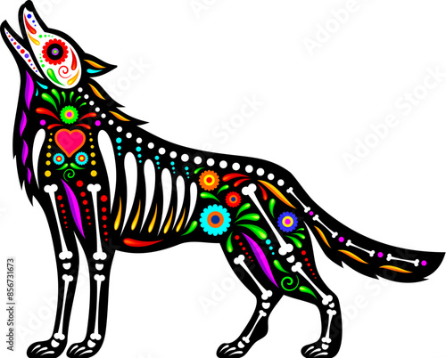 Mexican coyote animal tattoo, day of the dead sugar skull. Isolated vector wild howl wolf or coyote animal figure with colorful traditional motifs and skeleton bones, celebrating Mexican death holiday