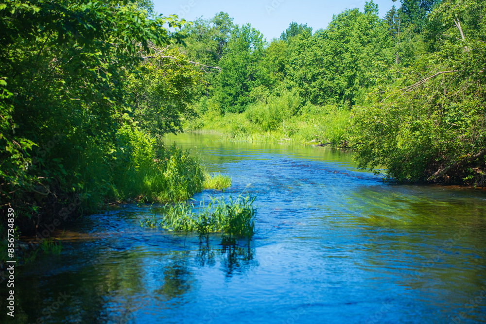 Idyllic River Flowing in a Green Forest. Calm Stream with Lush Vegetation on a Summer Day. Idyllic River Flowing in a Green Forest. Calm Stream with Lush Vegetation on a Summer Day.