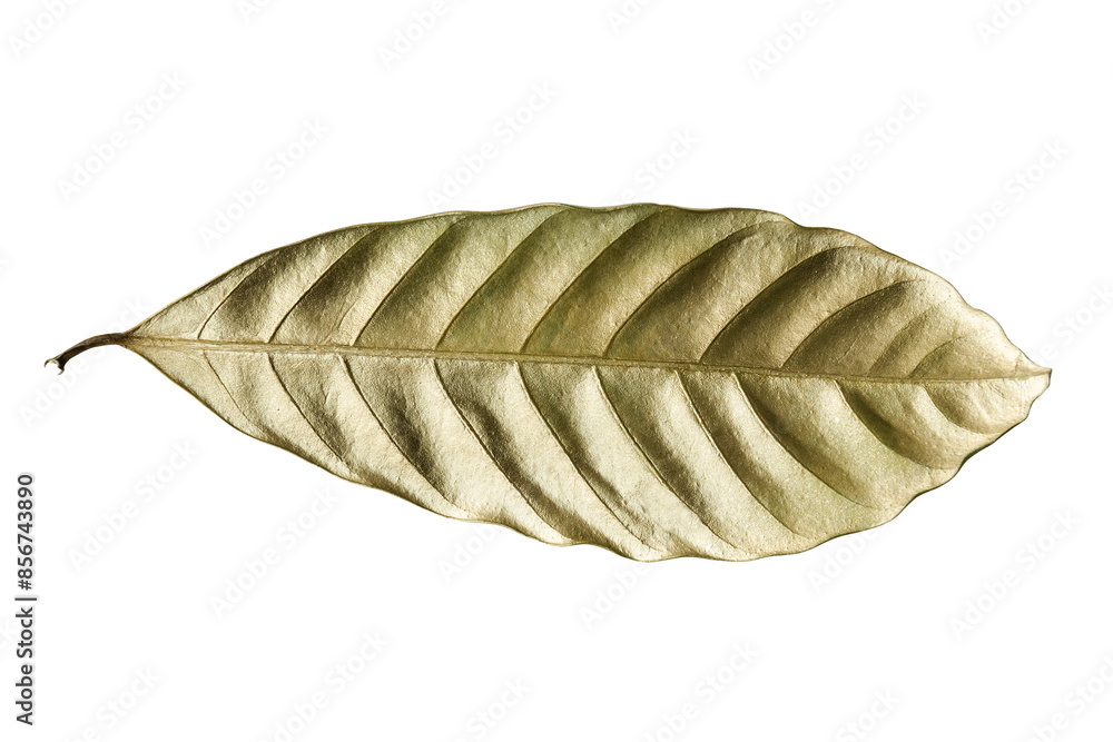 Leaf painted in gold design element Leaf painted in gold design element