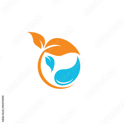 Illustration of a leaf logo for a company
