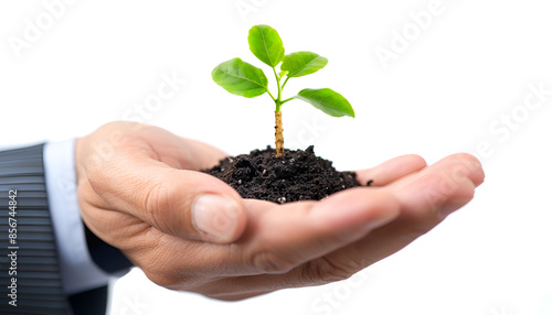 Businessman holding coins in hand with growth plant , investment profit and dividend money from saving concept