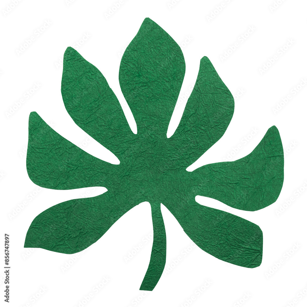 Green leaf png sticker DIY paper collage Green leaf png sticker DIY paper collage