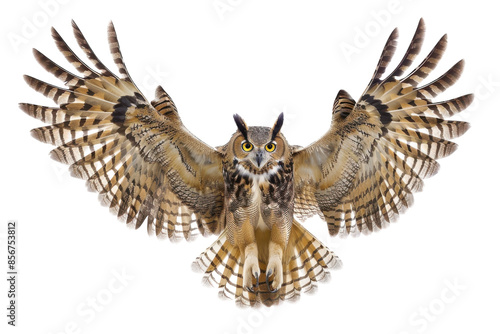 Owl with Wings Outstretched Isolated On Transparent Background