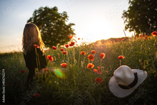 Slika na platnu Eine Frau von Hinten mit Hut im Feld mit schönem warmen Sonnenuntergang und Mohn