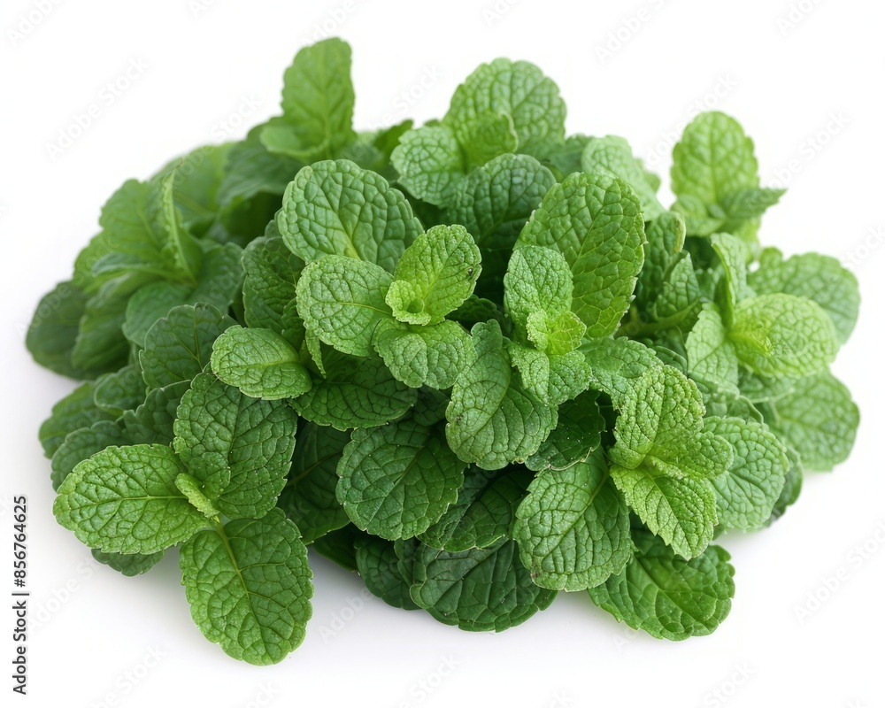 Mint leaf Mint leaf