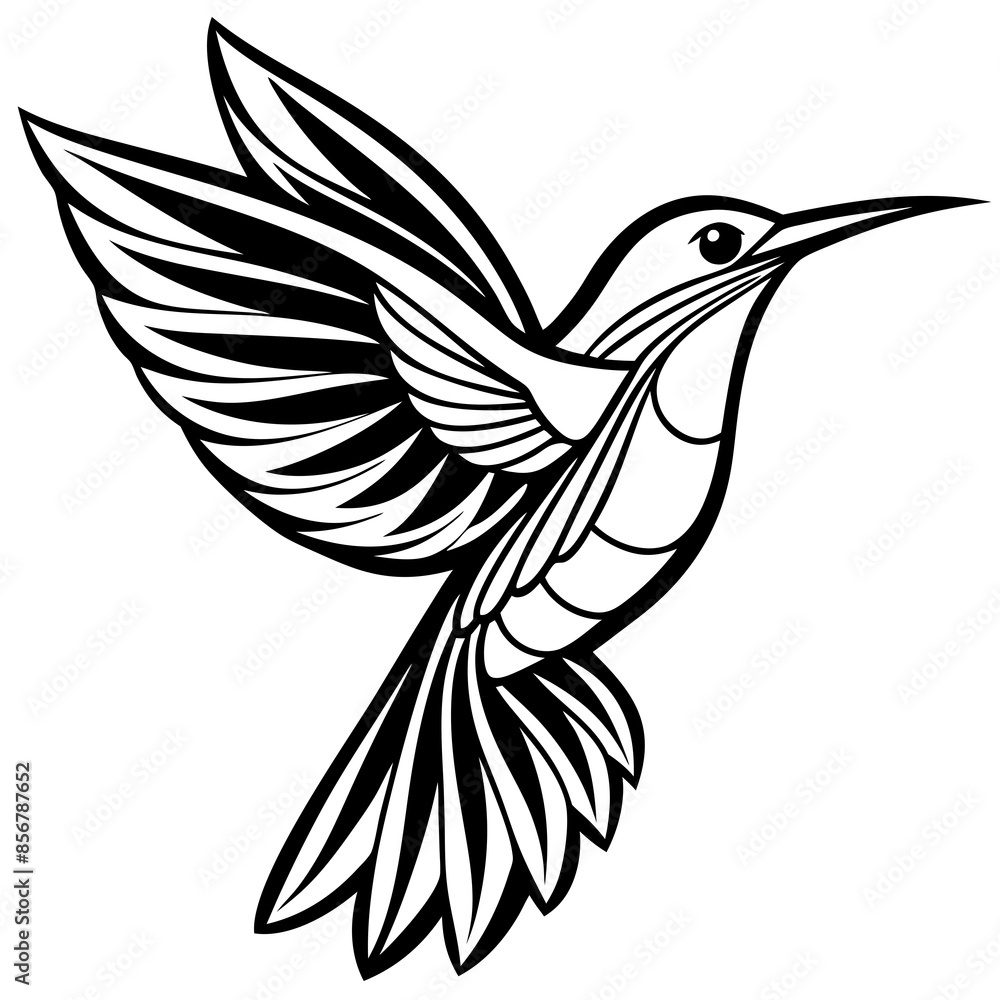 Obraz premium humming bird line art vector illustration