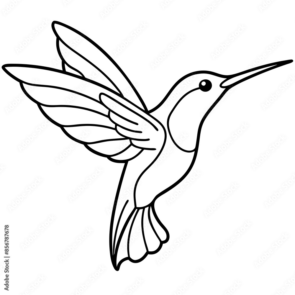 humming bird line art vector illustration humming bird line art vector illustration