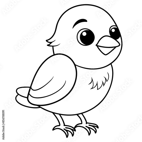 single baby sparrow  line art vector photo