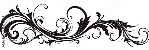 Minimalist Black Cursive Calligraphy Doodle with Swirls on White Background