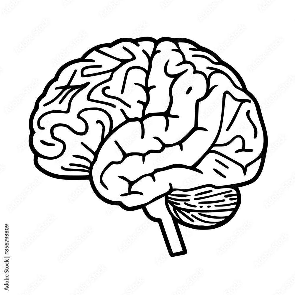 Brain SVG, Human Brain Svg, Brain SVG, Human Brain Svg,