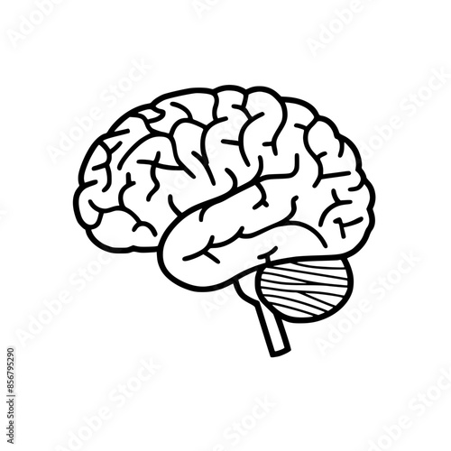 Brain SVG, Human Brain Svg, Brain Clipart, Mind Svg, 