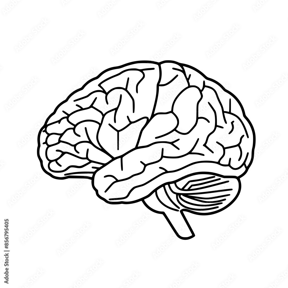 Brain SVG, Human Brain Svg, Brain Clipart, Mind Svg, Brain vector, Brain SVG, Human Brain Svg, Brain Clipart, Mind Svg, Brain vector,