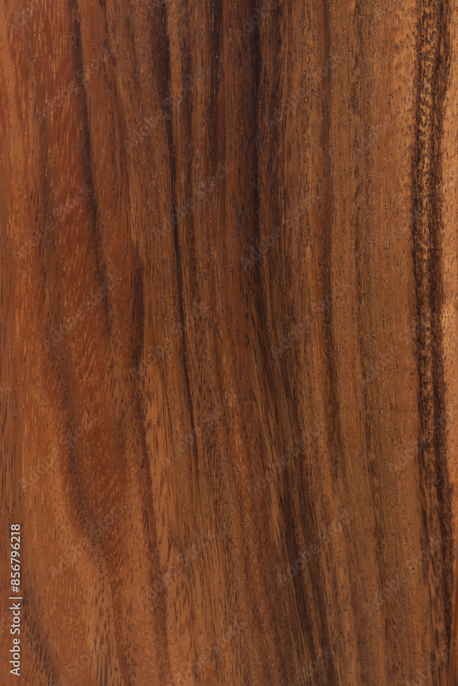 Natural Wood Beauty Texture Background Natural Wood Beauty Texture Background