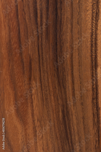 Natural Wood Beauty Texture Background