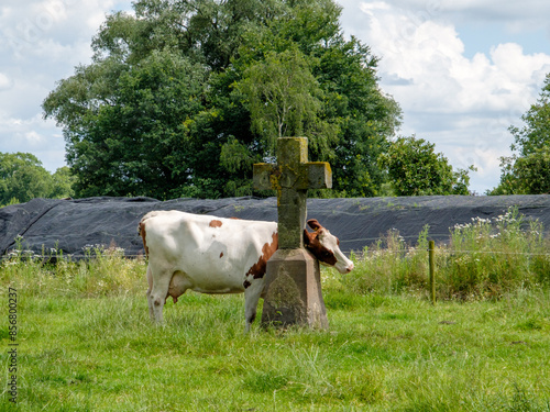 Salland, Het Stenen Kruis, Olst, Overijssel province, The Netherlands photo