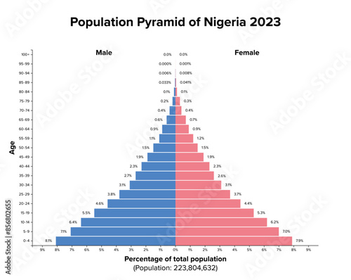 Population pyramid of Nigeria 2023. Age structure diagram and graphical illustration of the distribution of over 223 million people, divided into females and males, quoted in percent and 4-year steps.