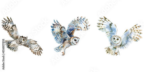 Watercolor cute owl flying isolated on white background.