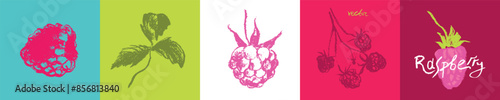 Raspberry symbols. Raspberries set of vector icons. Raspberries logo template and blackberries signs. Pink berry badges. Blackberry sketches. Handdrawn mulberry illustrations.