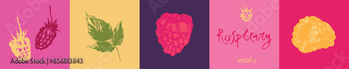 Raspberry symbols. Raspberries set of vector icons. Raspberries logo template and blackberries signs. Pink berry badges. Blackberry sketches. Handdrawn mulberry illustrations.