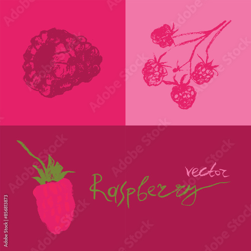 Raspberry symbols. Raspberries set of vector icons. Raspberries logo template and blackberries signs. Pink berry badges. Blackberry sketches. Handdrawn mulberry illustrations.