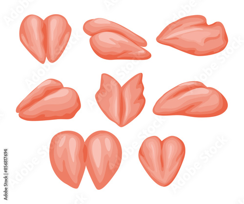 Set of raw chicken breast collection, part of chicken carcass vector Illustration, Cartoon isolated frozen or fresh chilled chicken breasts, restaurant menu, market products design. Poultry meat.