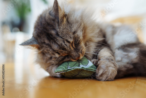 fabric pillow roll filled with catnip for play and interest of cats photo