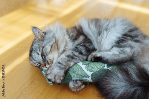 Billede på lærred fabric pillow roll filled with catnip for play and interest of cats