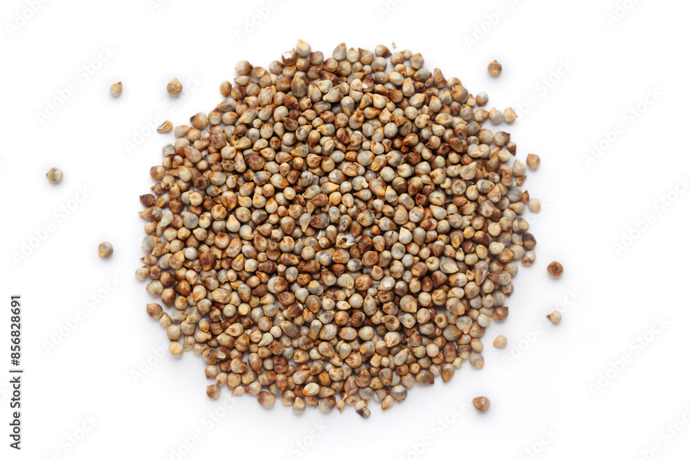A close-up pile of organic Pearl Millet (Pennisetum glaucum) or Bajra, isolated on a white background. Top view A close-up pile of organic Pearl Millet (Pennisetum glaucum) or Bajra, isolated on a white background. Top view