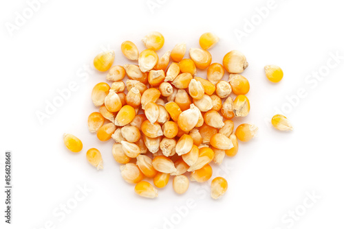 A close-up pile of organic Corn Seeds (Zea mays) or Makka, isolated on a white background. Top view