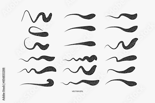 Abstract illustration, design, shape, circle, line, graphic, art, bacteria, virus, icon, germ, plankton, parasite, biology, sperm, and graphic element vector