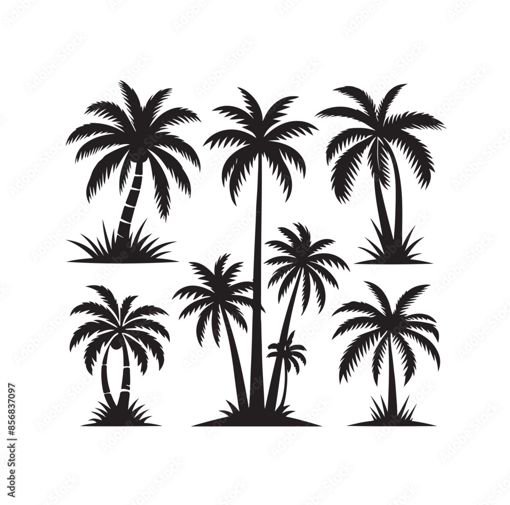 Black palm trees set isolated on white background. Palm silhouettes. Design of palm trees for posters, banners and promotional items. Vector illustration Black palm trees set isolated on white background. Palm silhouettes. Design of palm trees for posters, banners and promotional items. Vector illustration